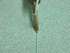 Heat Welding 