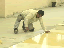 Vinyl Tile 