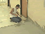Vinyl Tile 