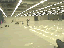 Vinyl Tile 