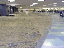 Vinyl Tile 