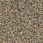 ESD and Static Control Carpet