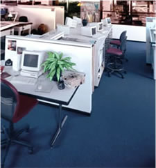 ESD Carpet